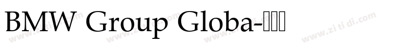 BMW Group Globa字体转换 BMW Group Globa字体转换